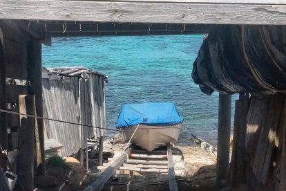 maria lluisa orrit arenas