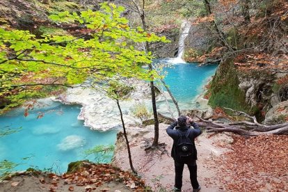 Maria Teresa Gayoso Gómez