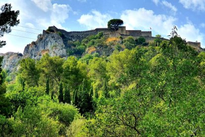 Arancha Sánchez Dolz