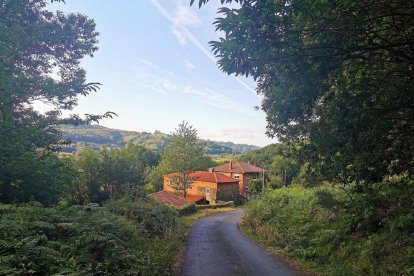 MARIA JOSE GUTIERREZ ORTIZ