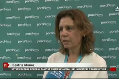 Inspeccions contra la “relaxació” amb la vacuna de l'Aujeszky en porcs