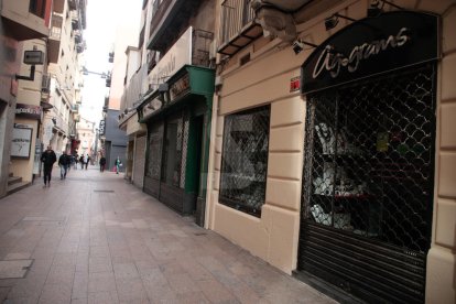 Imatges de la vaga a la ciutat de Lleida