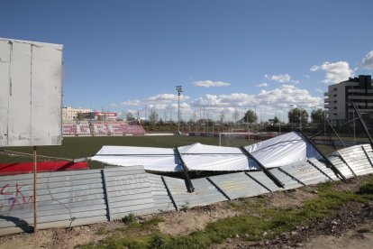 Un arbre caigut ahir a causa del fort vent a la carretera TV-2005 a Aiguamúrcia (Tarragona).