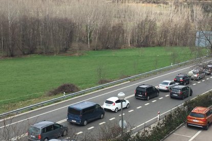 Un arbre caigut ahir a causa del fort vent a la carretera TV-2005 a Aiguamúrcia (Tarragona).