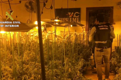 El material intervingut al detingut pels Mossos d’Esquadra.