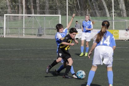 Campiones històriques