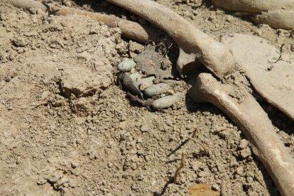 Els treballs han deixat al descobert els disset cossos, que van ser enterrats en línia, i també elements d’indumentària militar com botes o cartutxeres.
