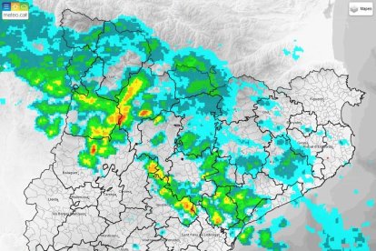 La neu en línia
