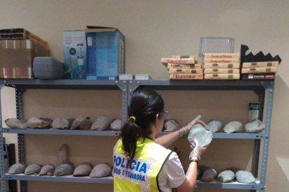 Dos detenidos en La Selva para expoliar yacimientos protegidos en el Pallars Jussà
