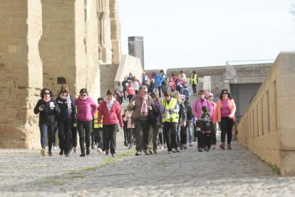 Foto de família davant de la Seu Vella dels participants en la caminada.