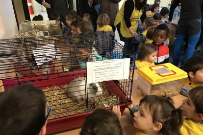 Dos imágenes de Sant Antoni en Lleida ciudad: bendición de mascotas y venta de panes y ‘tortells’ en la iglesia de la Puríssima Sang.