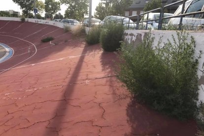 La pista està ara neta de matolls i s’hi pot entrenar.