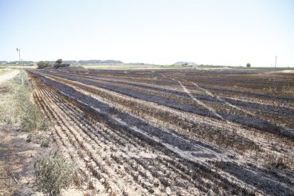El 40% dels incendis a Lleida l'any passat va ser provocat per negligències