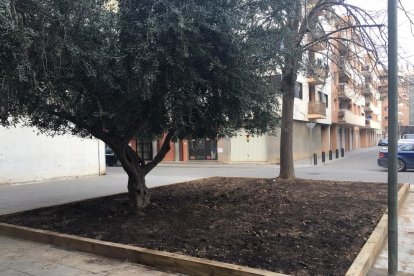 El paso elevado para suprimir barreras en la plaza del Pilar.