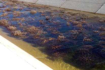 Reunión ayer en Belianes entre los alcaldes y la comunidad de regantes del Segarra-Garrigues.