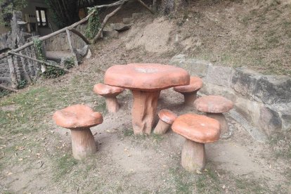 La boira, les fulles que cauen, els seus fruits... la tardor és una estació molt fotogènica.