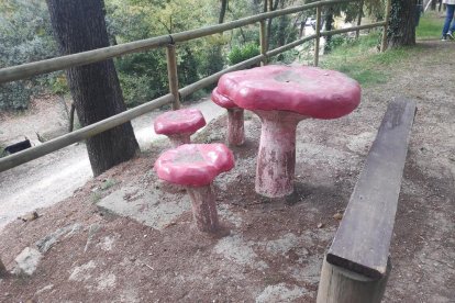 La boira, les fulles que cauen, els seus fruits... la tardor és una estació molt fotogènica.