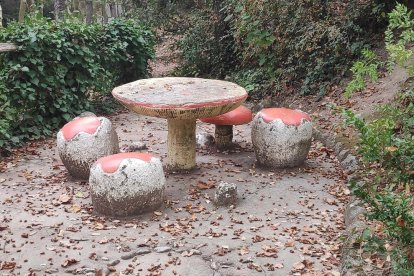 La boira, les fulles que cauen, els seus fruits... la tardor és una estació molt fotogènica.