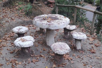 La boira, les fulles que cauen, els seus fruits... la tardor és una estació molt fotogènica.