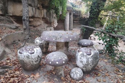 La boira, les fulles que cauen, els seus fruits... la tardor és una estació molt fotogènica.
