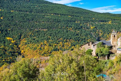 La boira, les fulles que cauen, els seus fruits... la tardor és una estació molt fotogènica.