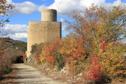Luis Carlos Pedra Capò