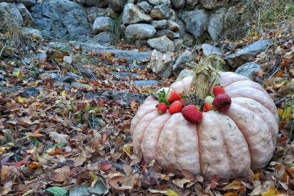 Eloi Balletbò Guixés