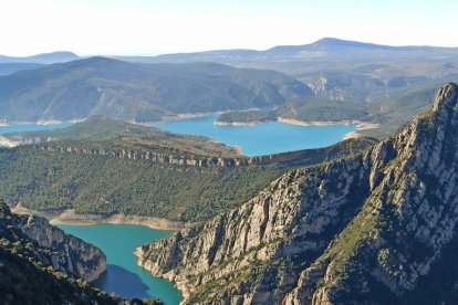 La boira, les fulles que cauen, els seus fruits... la tardor és una estació molt fotogènica.