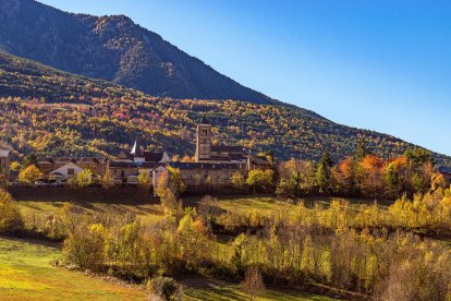 La boira, les fulles que cauen, els seus fruits... la tardor és una estació molt fotogènica.