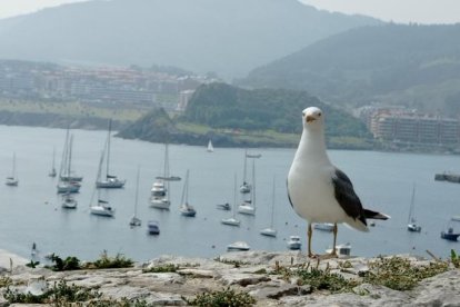 14.ª edición del concurso de fotos de vacaciones de verano
