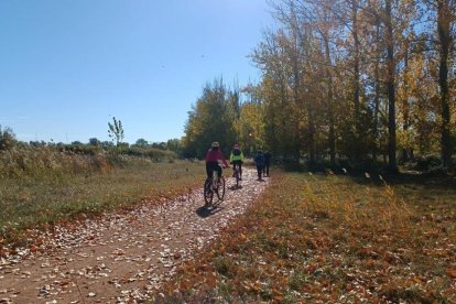 La boira, les fulles que cauen, els seus fruits... la tardor és una estació molt fotogènica.