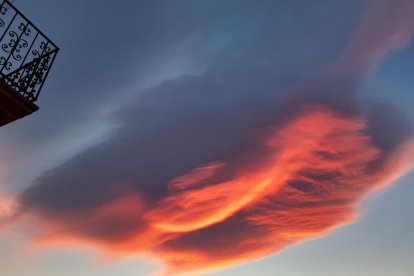 La boira, les fulles que cauen, els seus fruits... la tardor és una estació molt fotogènica.