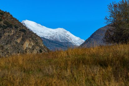 La boira, les fulles que cauen, els seus fruits... la tardor és una estació molt fotogènica.