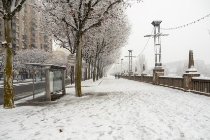 Nevada a Lleida del 9 de gener de 2021