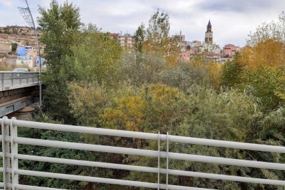 La boira, les fulles que cauen, els seus fruits... la tardor és una estació molt fotogènica.