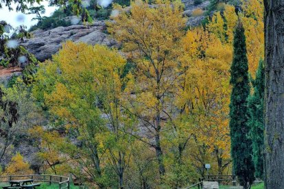 La boira, les fulles que cauen, els seus fruits... la tardor és una estació molt fotogènica.