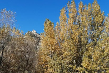 La boira, les fulles que cauen, els seus fruits... la tardor és una estació molt fotogènica.
