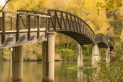 La boira, les fulles que cauen, els seus fruits... la tardor és una estació molt fotogènica.