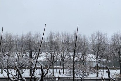 Nevada a Lleida del 9 de gener de 2021