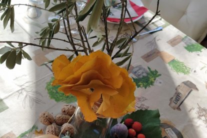 La boira, les fulles que cauen, els seus fruits... la tardor és una estació molt fotogènica.