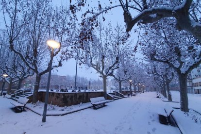 Nevada a Lleida del 9 de gener de 2021