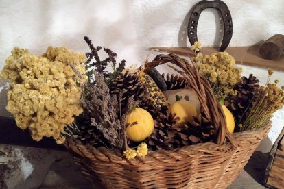 La boira, les fulles que cauen, els seus fruits... la tardor és una estació molt fotogènica.