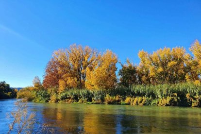Esther Teixidó Masamunt