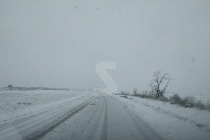 Nevada a Lleida del 9 de gener de 2021