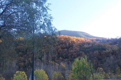 La boira, les fulles que cauen, els seus fruits... la tardor és una estació molt fotogènica.