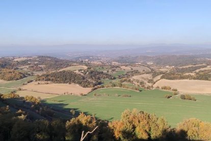 La boira, les fulles que cauen, els seus fruits... la tardor és una estació molt fotogènica.