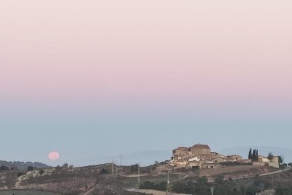 La boira, les fulles que cauen, els seus fruits... la tardor és una estació molt fotogènica.