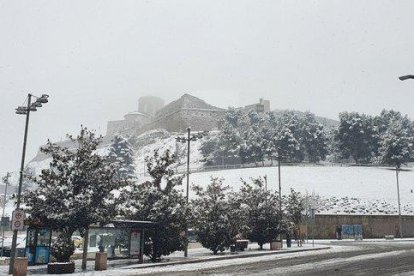 Nevada a Lleida del 9 de gener de 2021