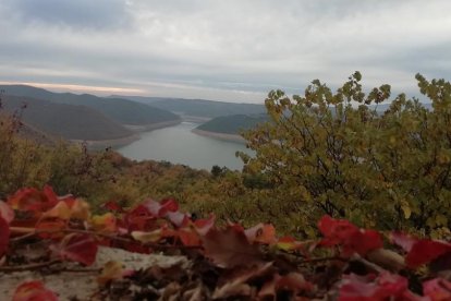 La boira, les fulles que cauen, els seus fruits... la tardor és una estació molt fotogènica.