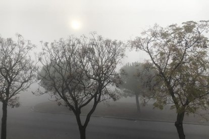 La boira, les fulles que cauen, els seus fruits... la tardor és una estació molt fotogènica.